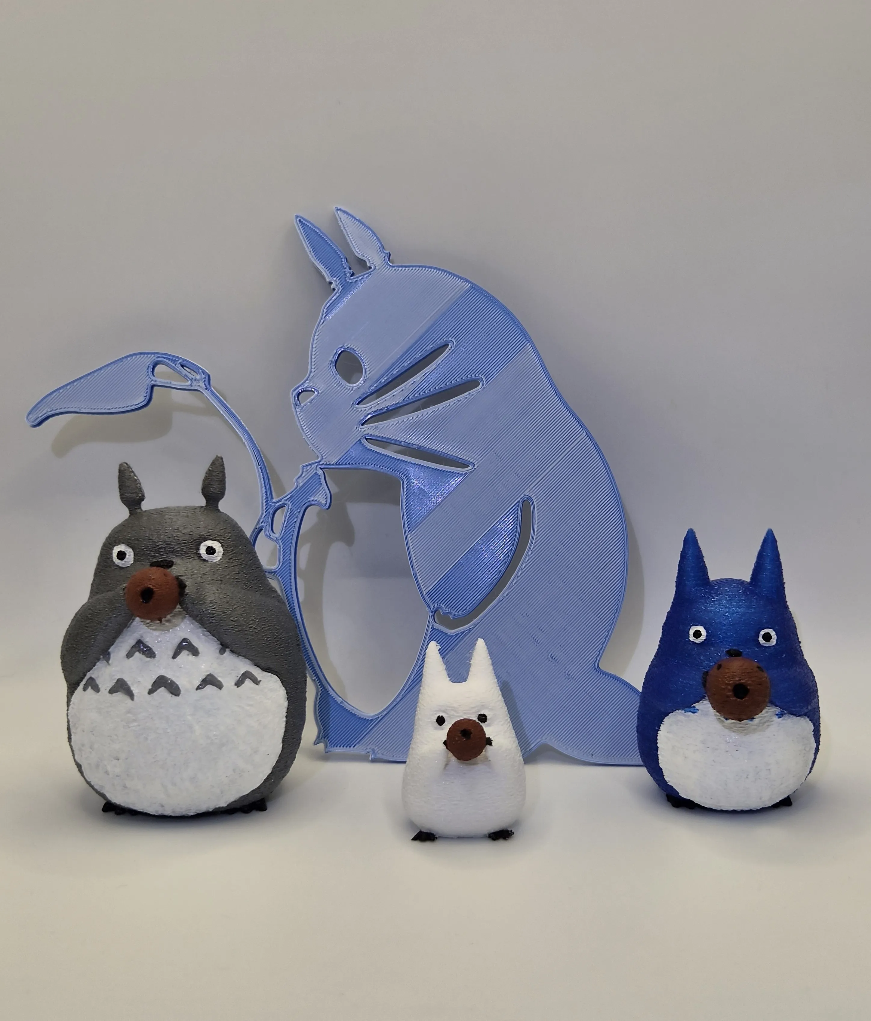 Totoro y amigos Studio Ghibli - Frente