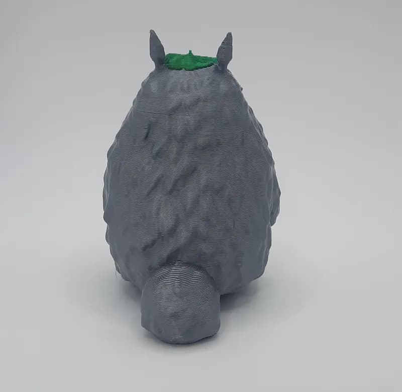 Totoro - Atras